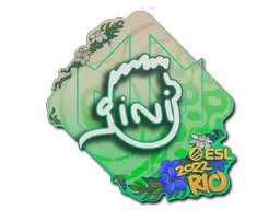 VINI
