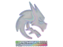 Team Spirit (Holo)