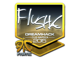 Sticker | flusha (Foil) | Cluj-Napoca 2015