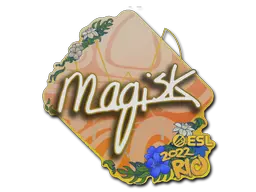 Magisk