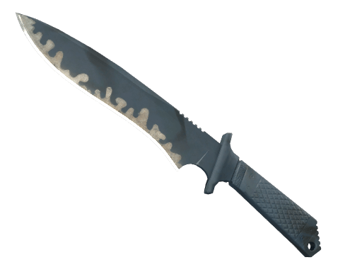 ★ Classic Knife | Night Stripe (Well-Worn)