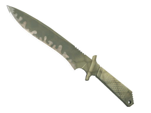 ★ StatTrak™ Classic Knife | Safari Mesh (Well-Worn)