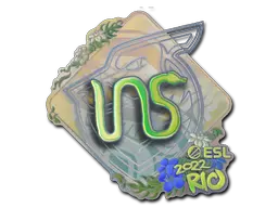INS (Holo)