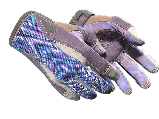 ★ Sport Gloves | Violet Beadwork (Well-Worn)