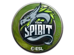 Team Spirit