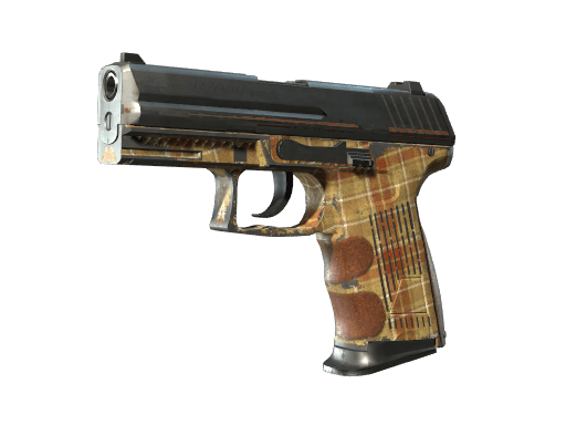 P2000 | Coach Class (Battle-Scarred)