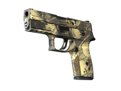 P250 | Contamination (Field-Tested)