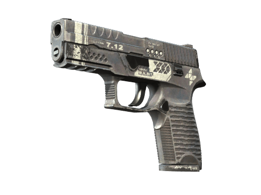 StatTrak™ P250 | Re.built (Field-Tested)