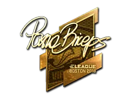 pashaBiceps (Gold)