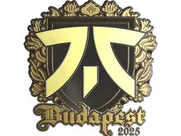 fnatic (Gold)