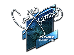 Sticker | Summer (Foil) | Boston 2018